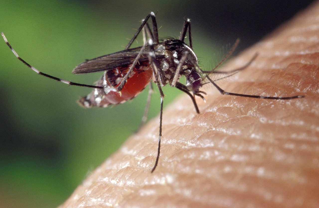 Waxhaw Pest Control